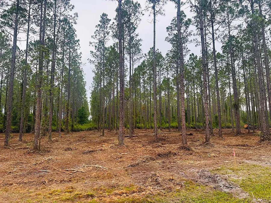 Crawford Woods Featured