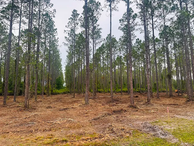 Crawford Woods Featured