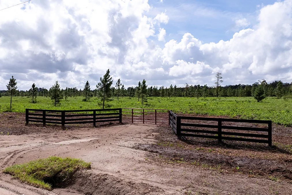 Raydient Davisfarms 28