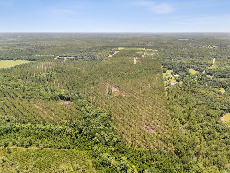 Bray Tract Aerial Back 3