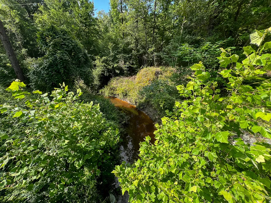 Skinnercreek 16