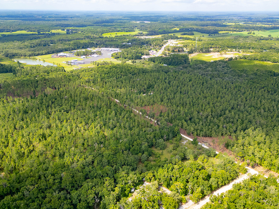 Suwannee II Featured