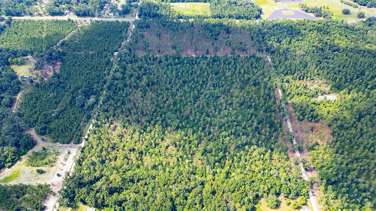 Suwannee II 9