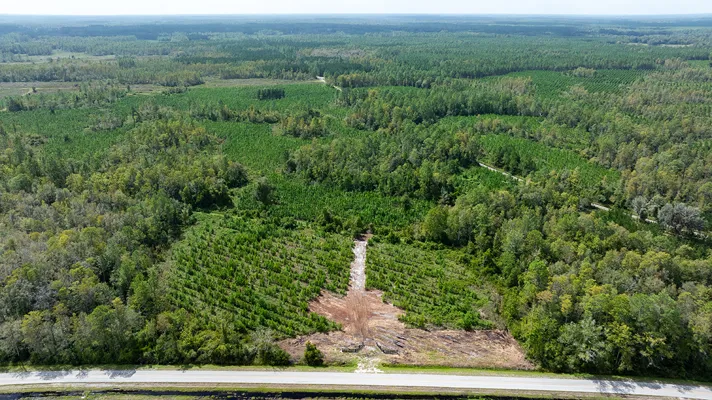 Old Cypress Farms Lot 11