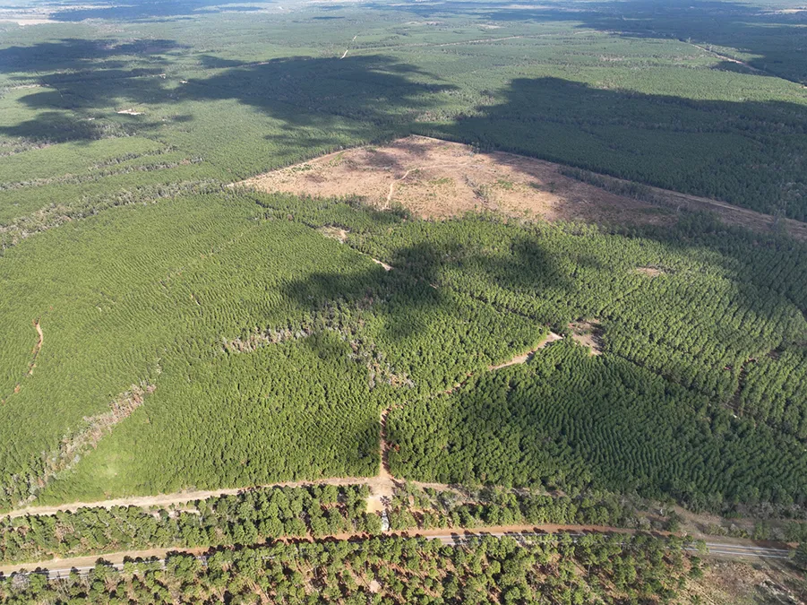 Walker Preserve Aerial 3