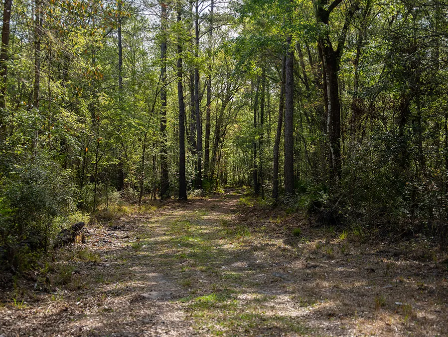 Riverhavenproperties 31