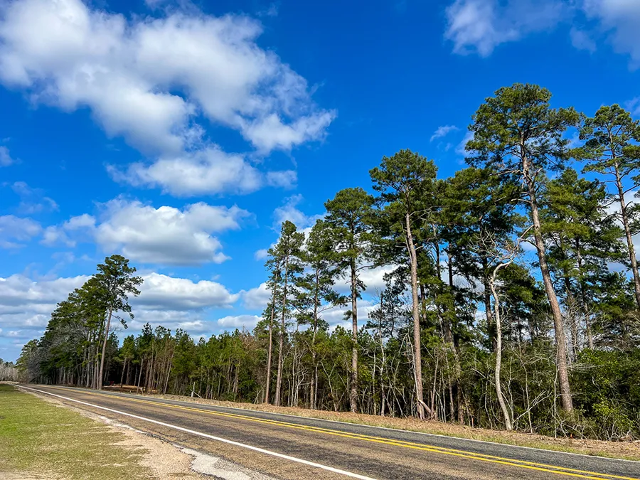 Sugar Hill Road