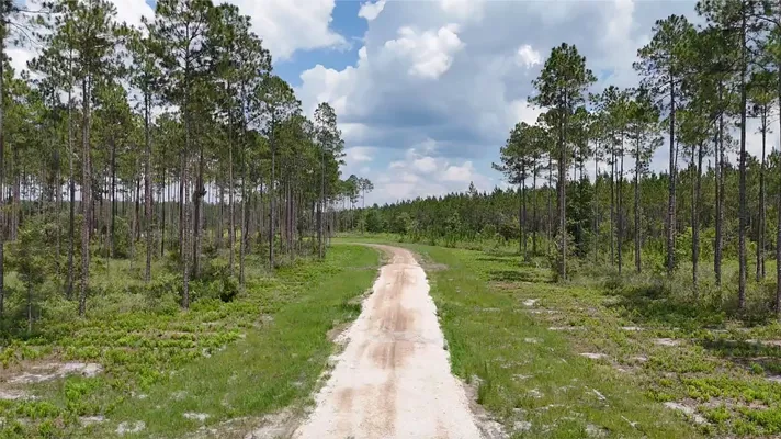 Brandy Branch Lot 5 Entrance Road