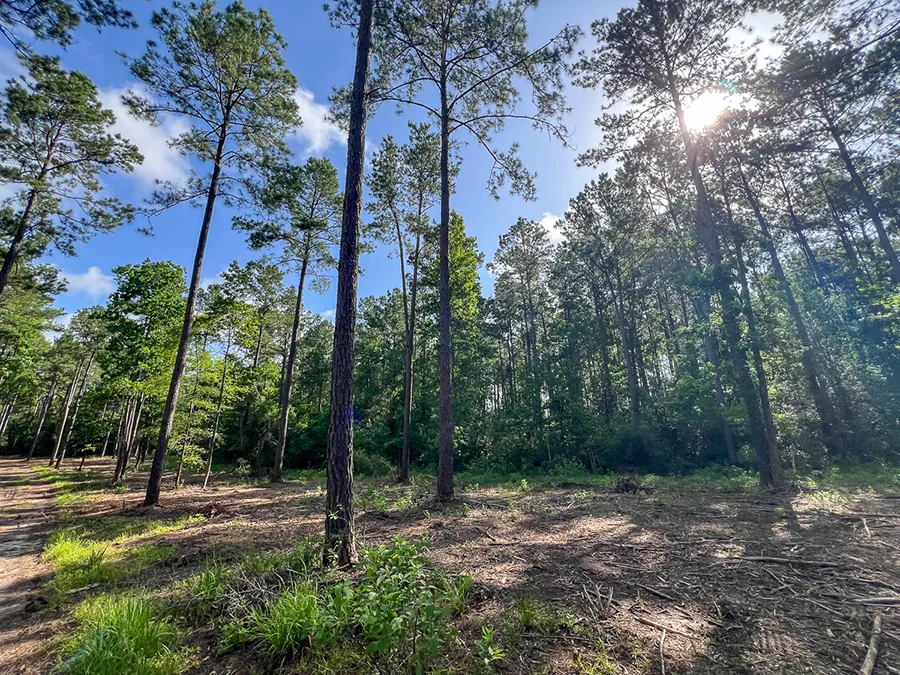 Skinnercreek 12