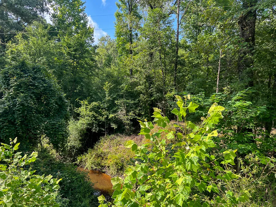 Skinnercreek 15