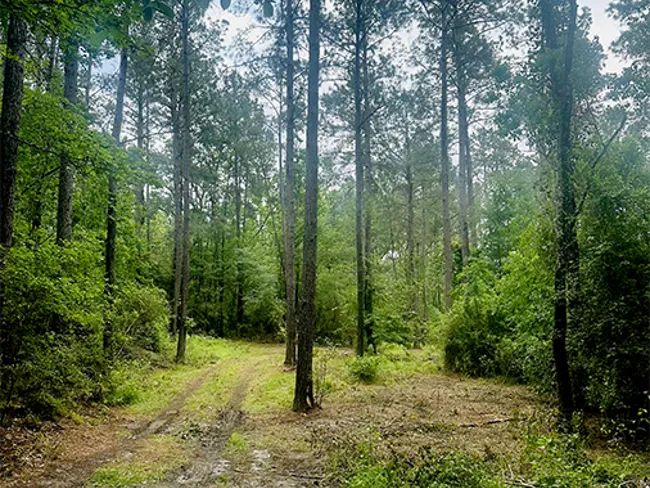 Skinner Creek