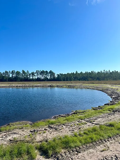 Andrews Grove Pond Vertical