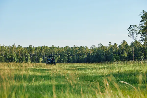 Brandy Branch Lot 1 Quad