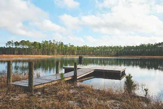 Brandy Branch Dock