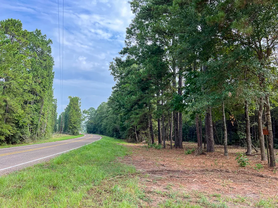 Bardranch Road 4