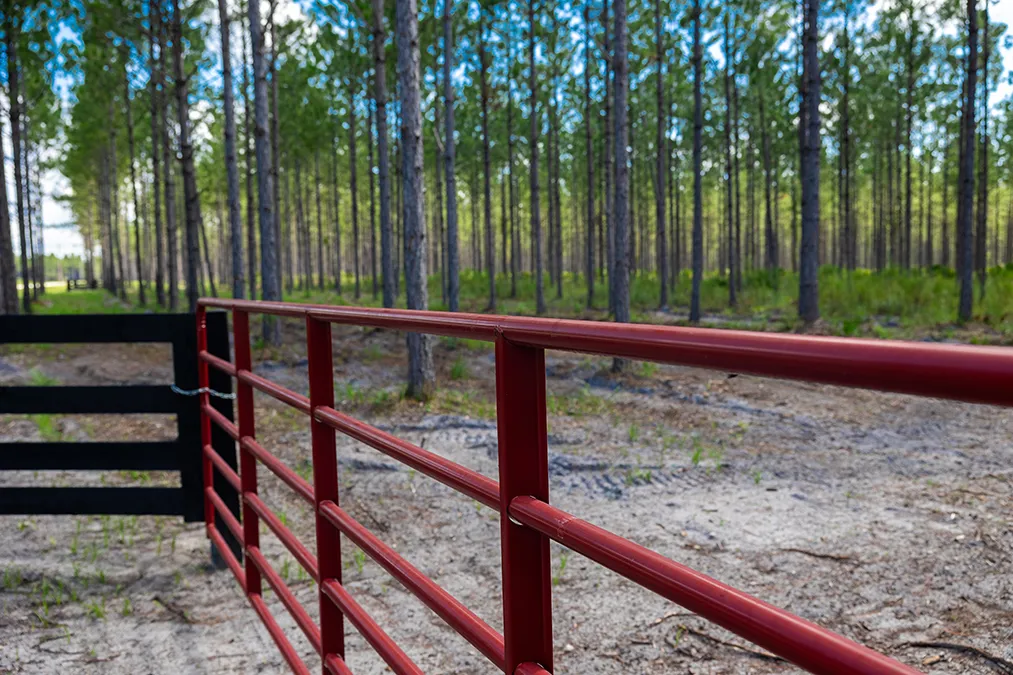Hampton Pines Gate Horizontal
