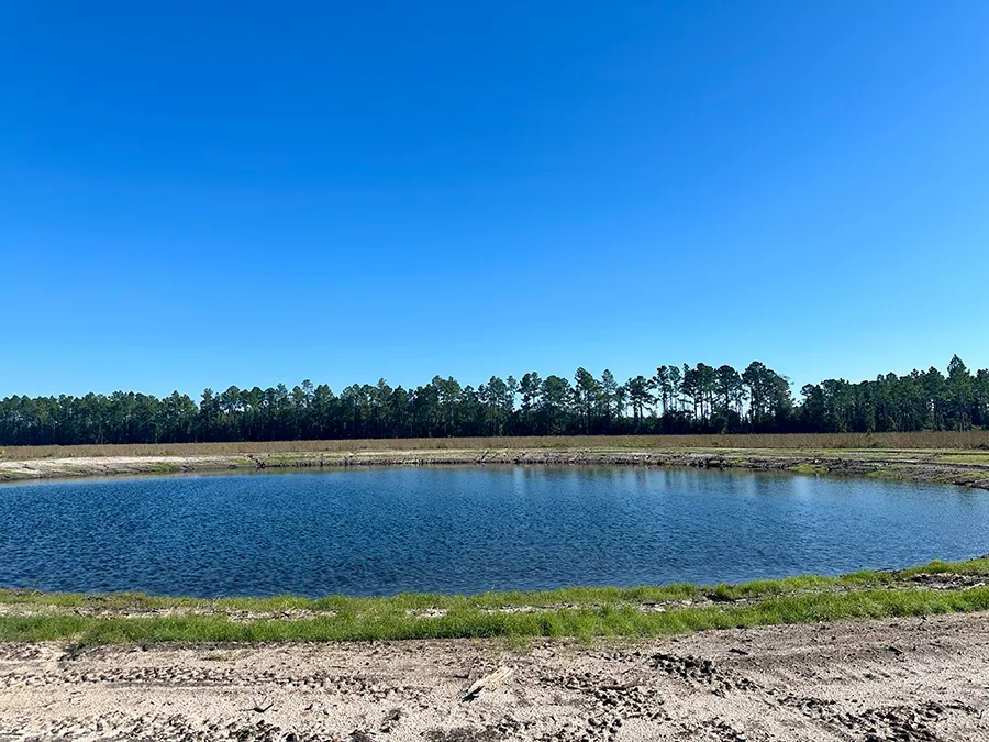 Andrews Grove Pond