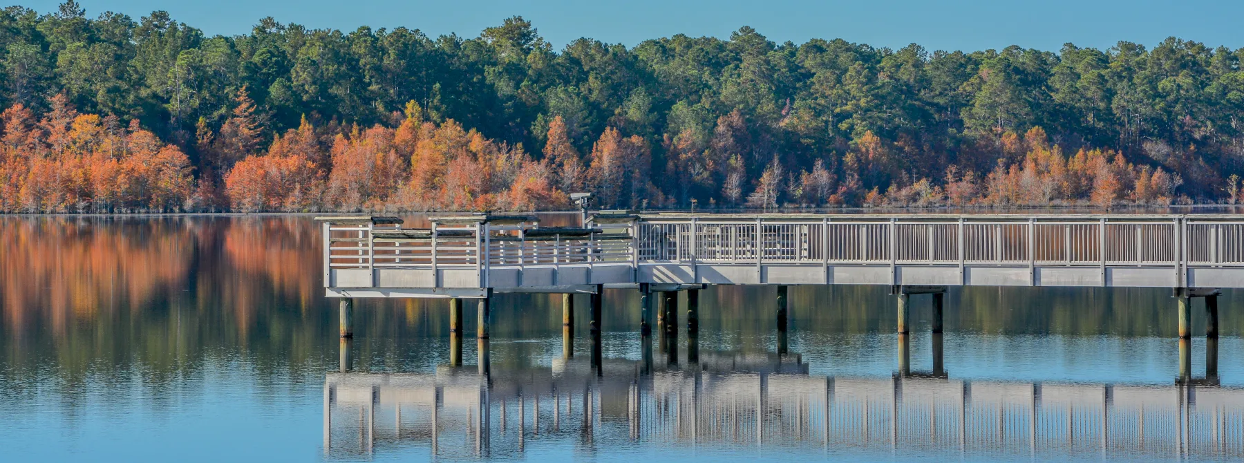 Dodge County GA Hero
