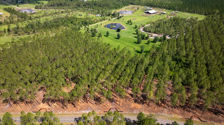 Crawford Woods Lot 2