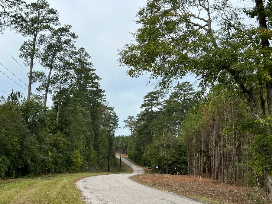 Gaylor Creek 2