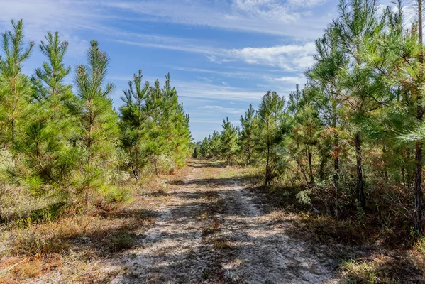 Little Alligator Creek Lot7 2