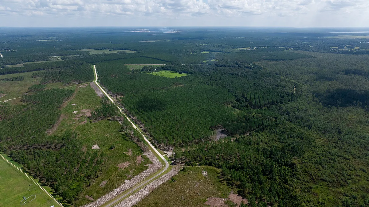 Hampton Pines Aerial