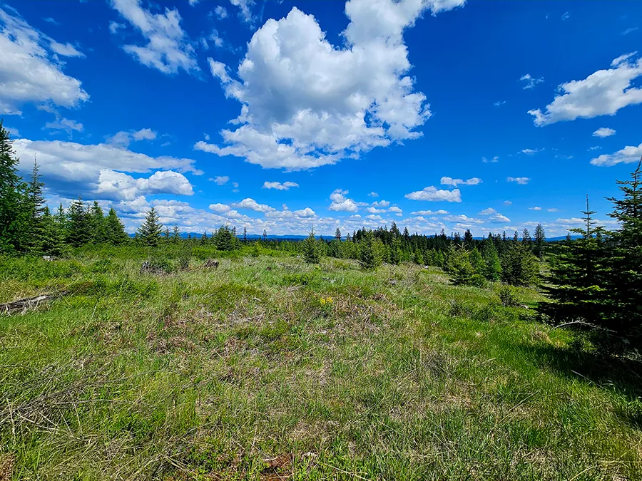 Timberline Heights Land