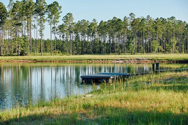 Brandy Branch Lot 3 Dock
