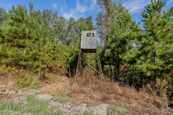 Little Alligator Creek Lot8 1