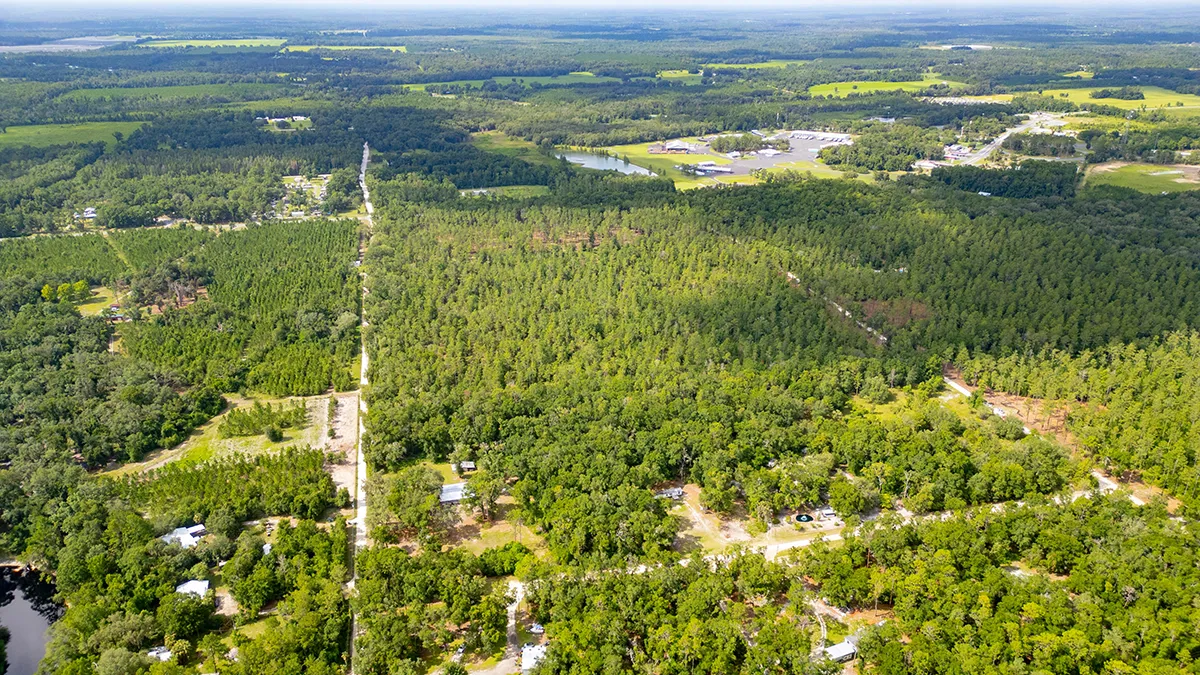 Suwannee II 3