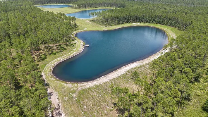 Brandy Branch Lot 5 Pond Aerial