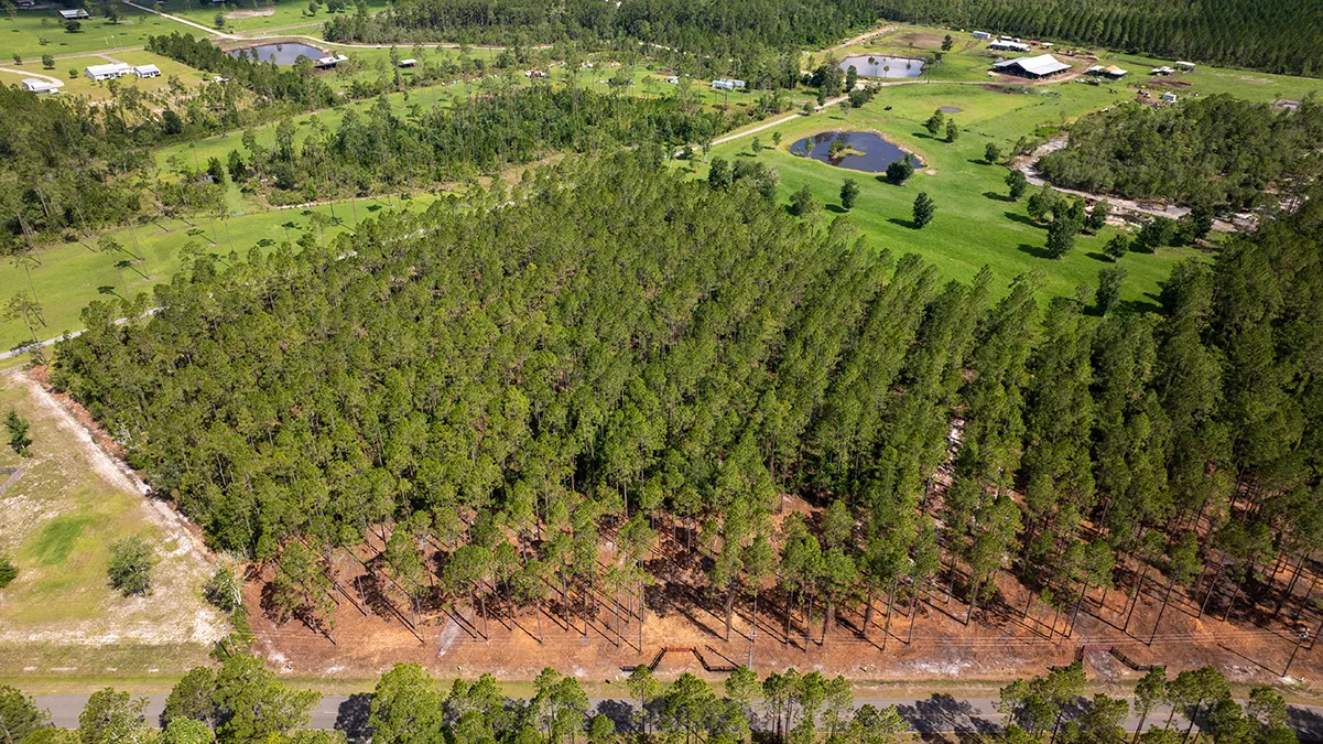 Crawford Woods Lot 1