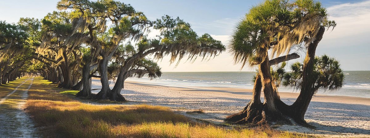 Rural Land for Sale in Georgia | Search Georgia Land & Lots for Sale