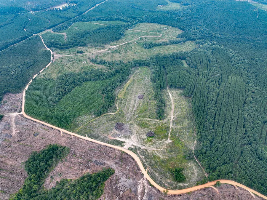 Bardranch Aerial