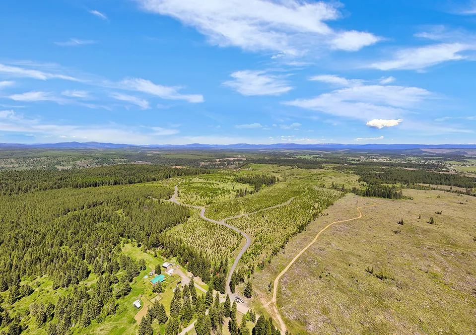 Timberline Heights Aerial