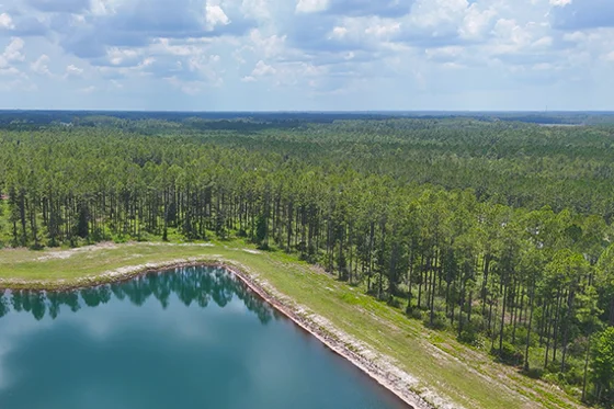 Brandy Branch Acres