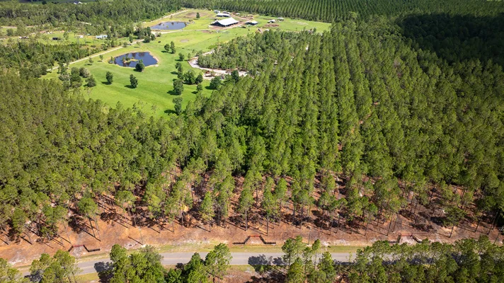 Crawford Woods Lot 3
