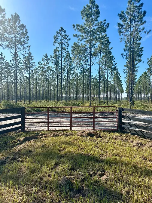Andrews Grove Gate 3