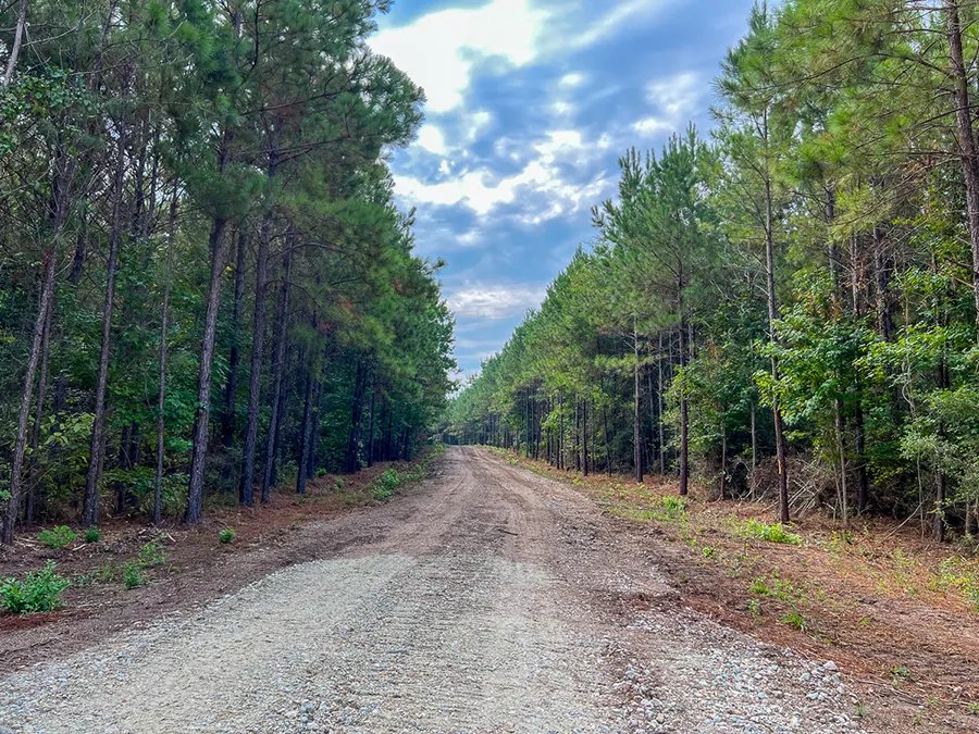 Bardranch Road 5