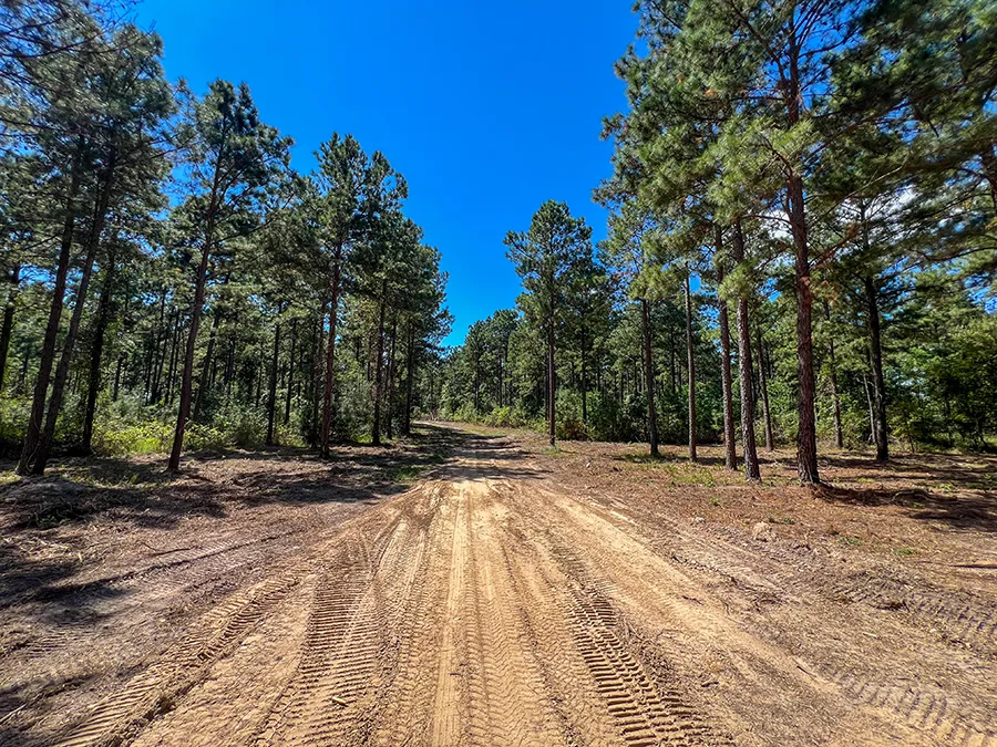 Willow Creek 25