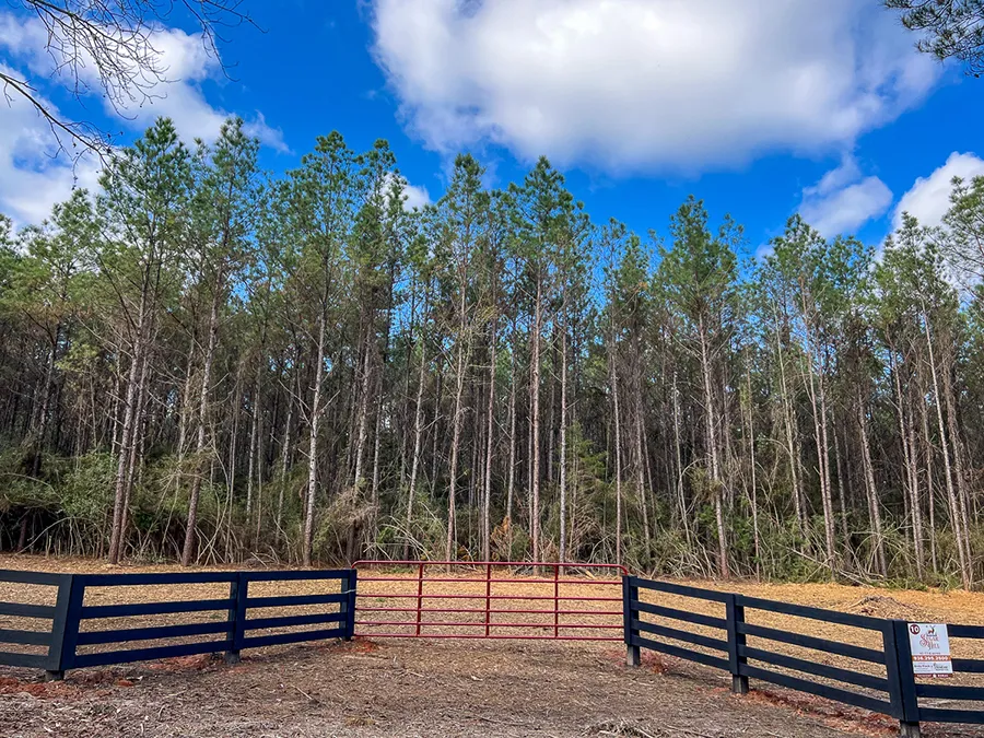 Sugar Hill Lot 10