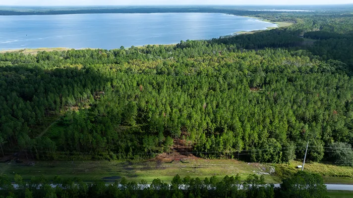 Old Cypress Farms Lot 1