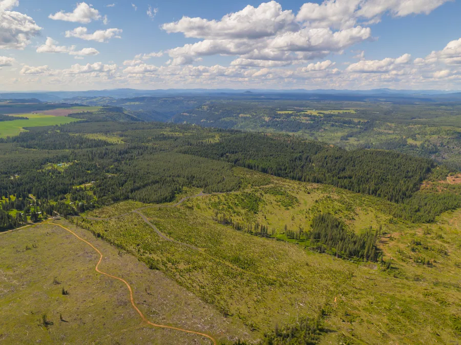 Timberline Heights Featured