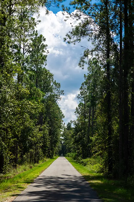 Hampton Pines Palatka State Trail