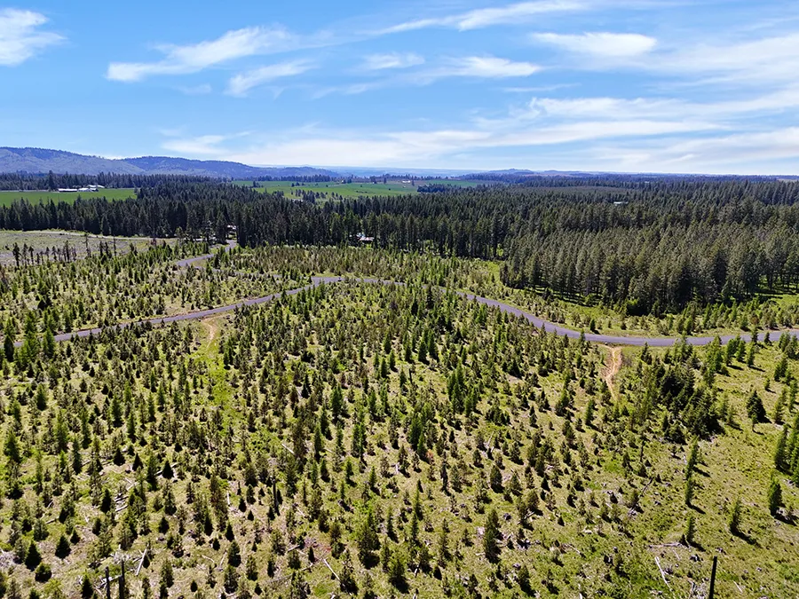 Timberline Heights Parcel 5