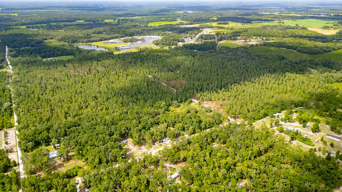 Suwannee II 2