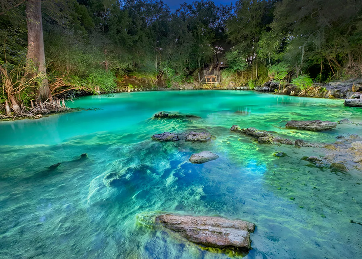 Suwannee County Royal Springs