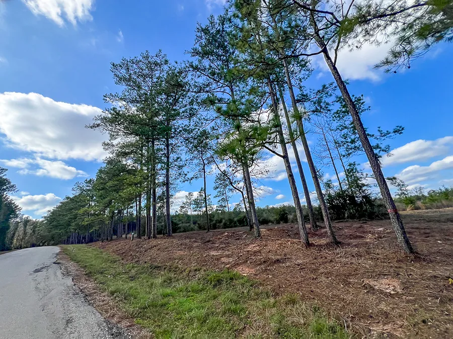 Sugar Hill Road 5