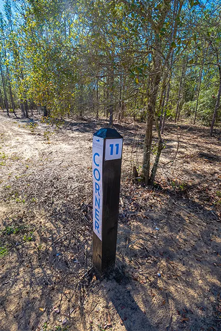 Steel Bridge Rural Lots | Land for Sale in Baker County, FL