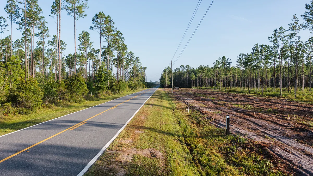 Stave Branch Road 3